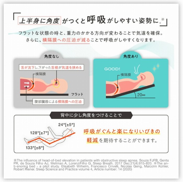 �㔼�g�Ɋp�x�����ƌċz�����₷���p����