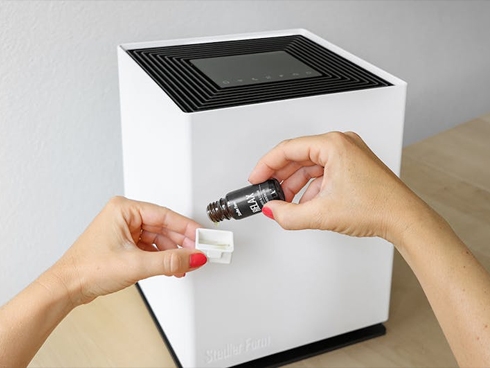 �A���}�I�C���ŁA������y���߂�