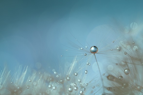 ���1�@ILCE-7RM5�@100mm�@1/25�b�@F4�@ISO200