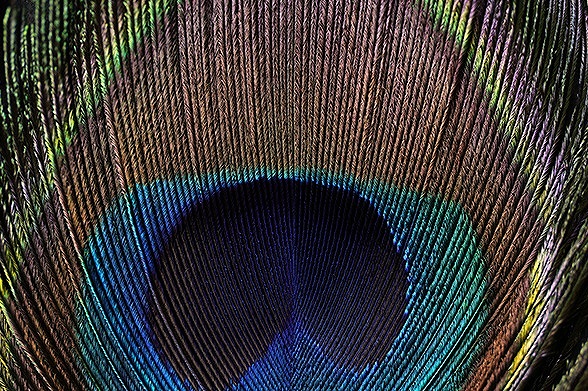 ���2�@ILCE-7RM5�@100mm�@1/100�b�@F2.8�@ISO100