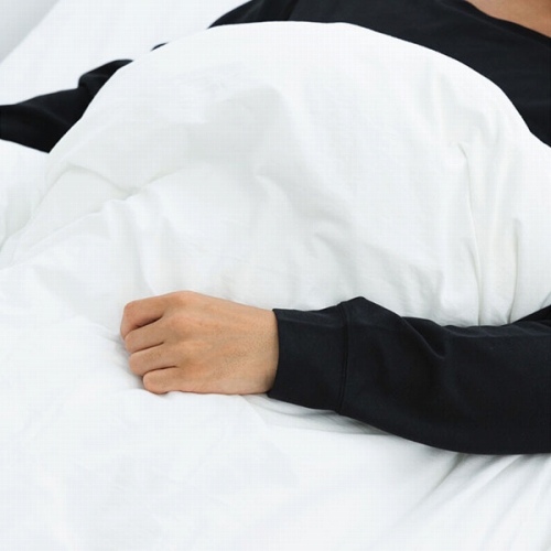 �傫�߃T�C�Y�ȃ��u�d�l�̑�