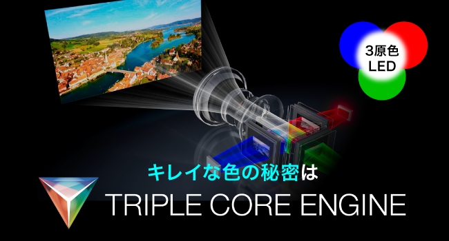 �L���C�ȐF�̔閧�͐ԁE�E�΂̎O���F��g�ݍ��킹���V���w�G���W���u