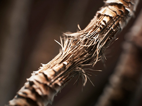 �_���[�W���󂯂���