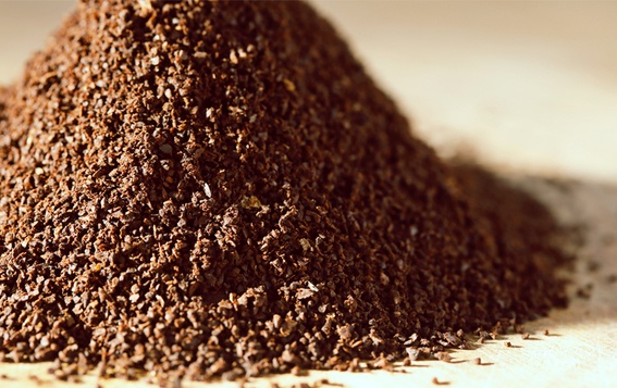 �҂��������Ȃ��u�������҂��v