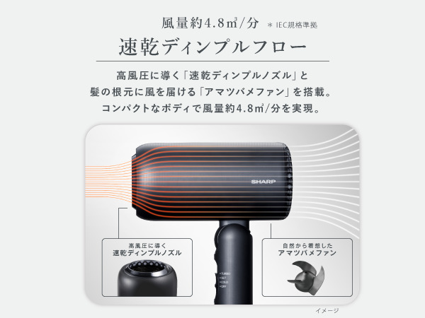 �����f�B���v���t���[