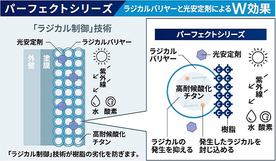 ���W�J���o�����[�g������܂ɂ��W����