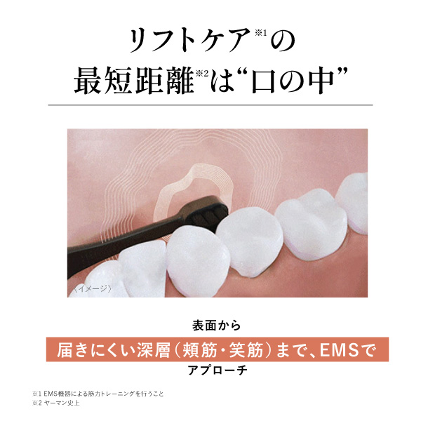 ���[�}�� YOC-OL1B ����펕�u���V ���g�U���� EMS�ŃA�v���[�`