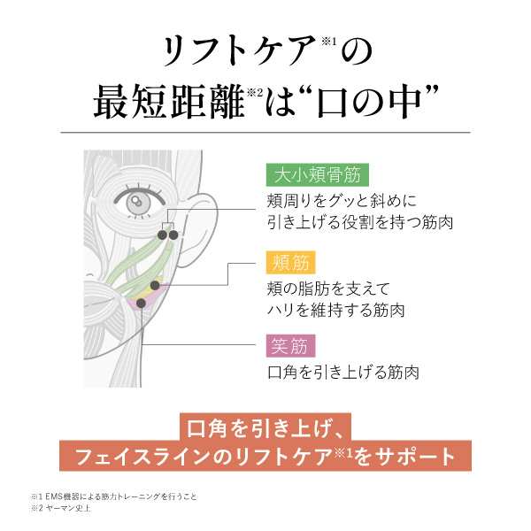 ���[�}�� YOC-OL1B ����펕�u���V ���g�U���� �t�F�C�X���C���̃��t�g�P�A���T�|�[�g