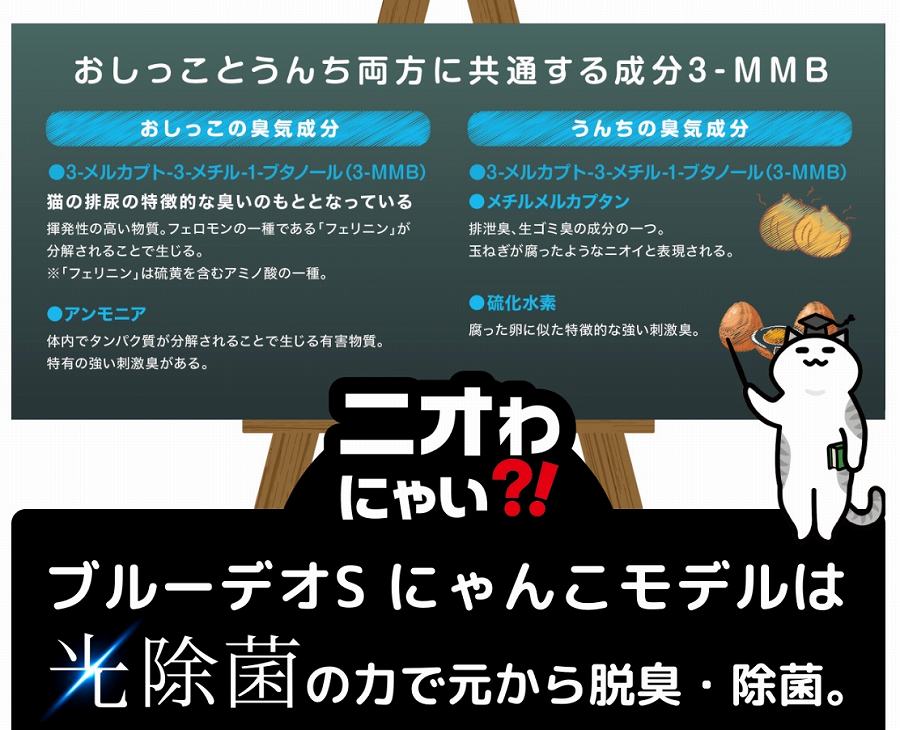 Q �L�����Ɠ��̃c���Ƃ����g�C���L�̌����́H