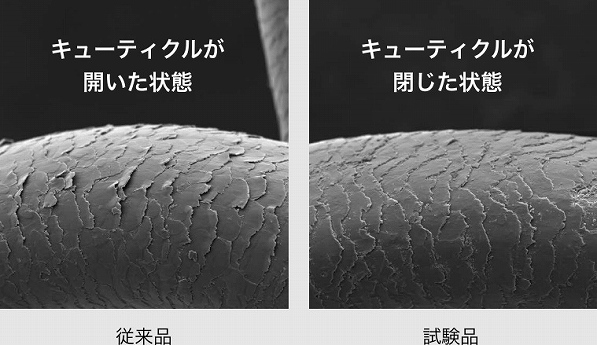 ���[�}�� �X���[�X�A�C�����t�H�g�C�I�� �v���X YJHB6W �M�_���[�W��ጸ����v���[�g�\��