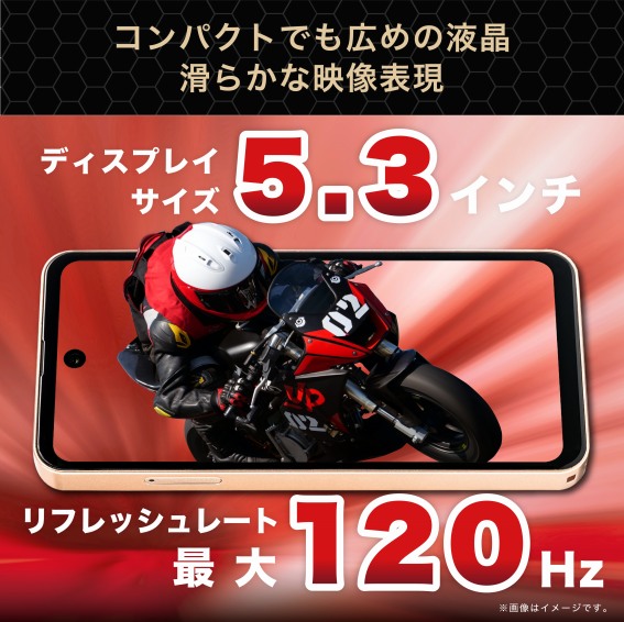 �x�[��������}�����p���`�z�[���^�t�����g�J�������̗p