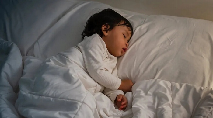 ���i�g���́u�����v�^�]���A���\�Ɖ��ɔz�������݌v