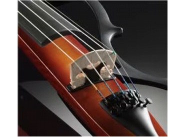 �Q��ނ̃s�b�N�A�b�v