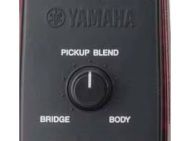 �s�b�N�A�b�v�u�����h �R���g���[��