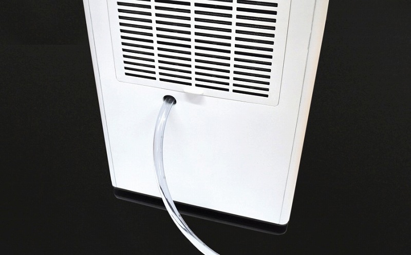 �t���̔r���z�[�X�� �A���r�����\