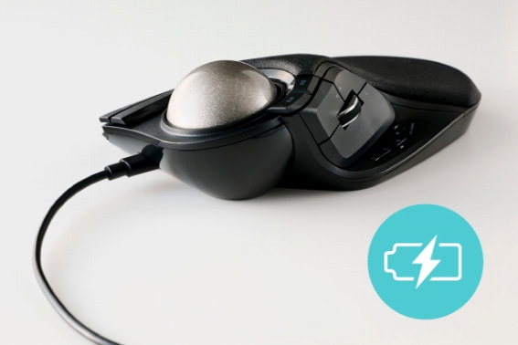 �d�r�����s�v�ȏ[�d�����f��