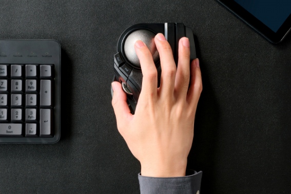 ���炩�ȑ����̃x�A�����O