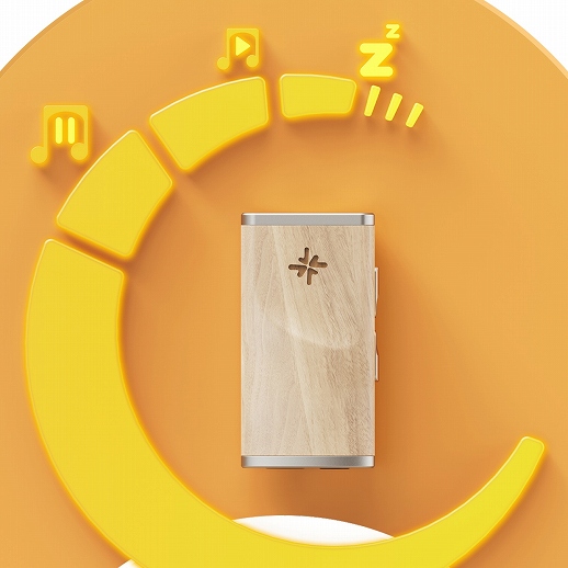 �yFIIO USB DAC�����|�[�^�u���w�b�h�z���A���v Snowsky MELODY�z�o�b�e���[�ƒ���d�̓��[�h