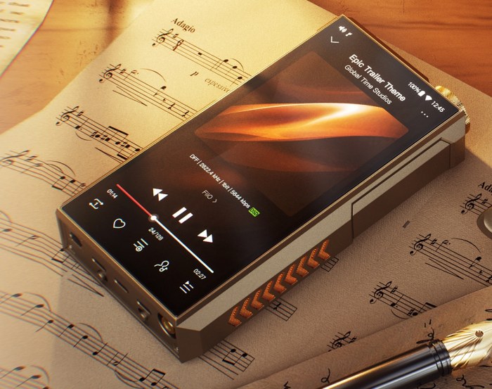 �v���~�A���̎������ɂ߂�`�^���������f��