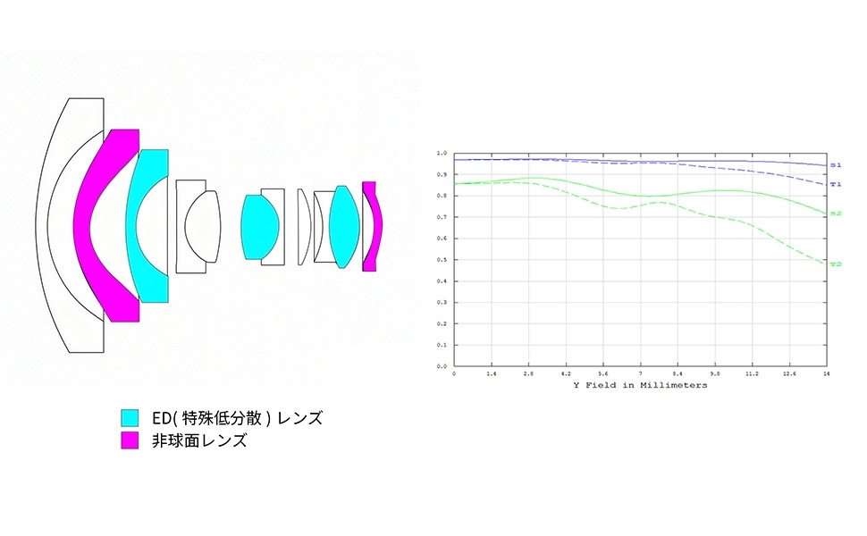 ED(����ᕪ�U)�����Y �񋅖ʃ����Y
