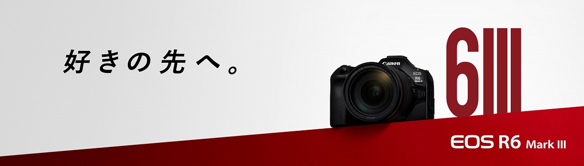 �D���̐�ցB