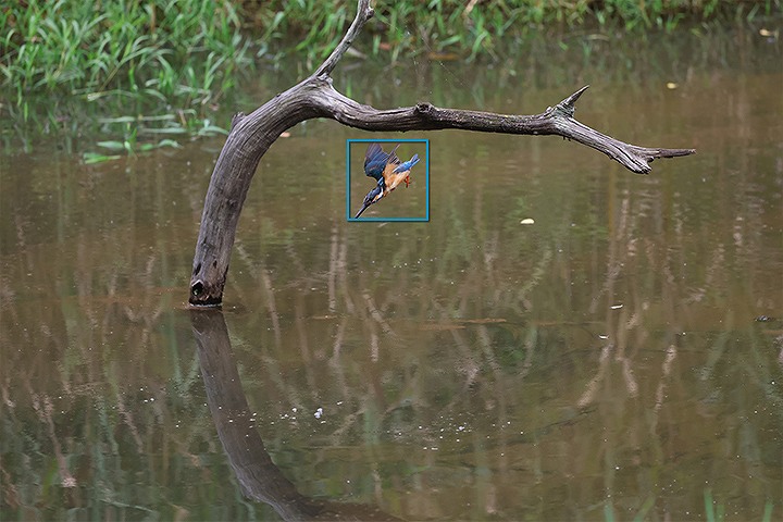 �f�B�[�v���[�j���O�Z�p�Ŕ�ʑ̂��u���݁v�u�ǔ��v