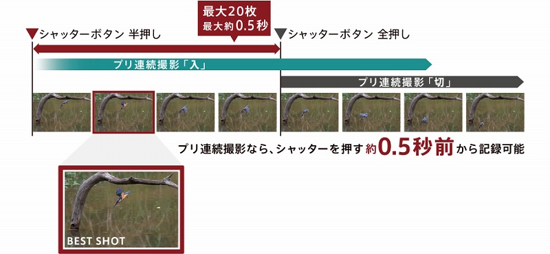 ����I�u�Ԃ𓦂��Ȃ��v���A���B�e�i�Î~��B�e���j