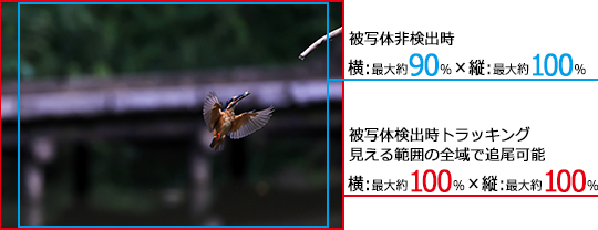 �S���AF�G���A