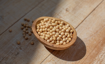 �����哤�A��������