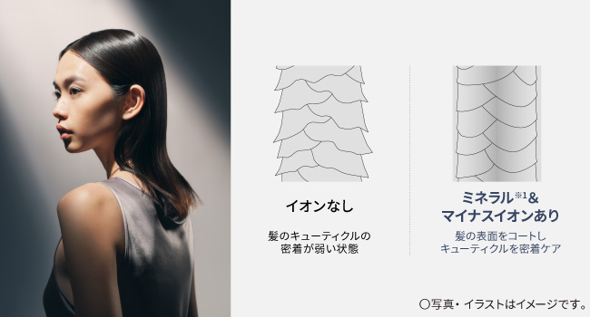 Panasonic �w�A�[�h���C���[ ionity(�C�I�j�e�B) EH-NE8N UV�_���[�W�}��