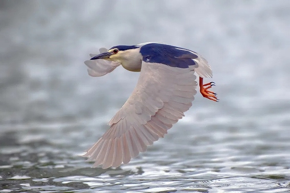 �����E�����xAF