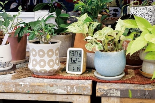 �E�b�h�v�����g