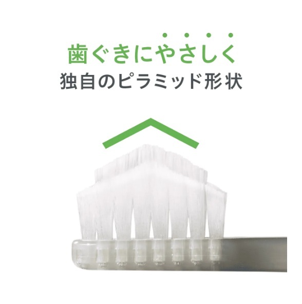 �X�^���_�[�h���C����Ղ̎��u���V ���炩��