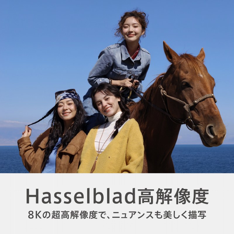 Hasselblad���𑜓x
