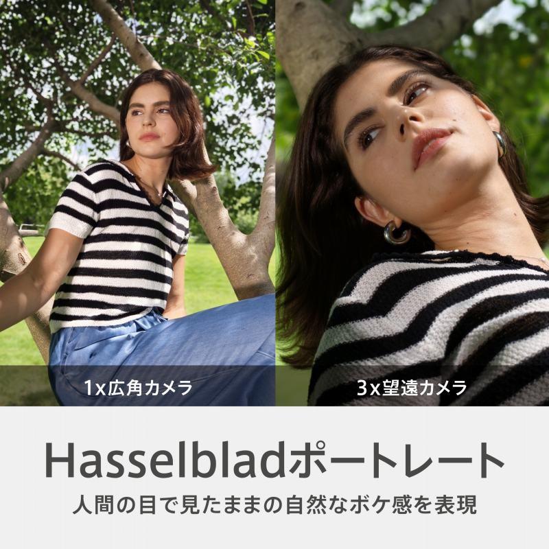 Hasselblad�|�[�g���[�g