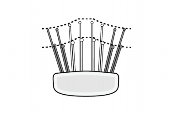 ����ɂ҂�����t�B�b�g��������擾�̓��疧���݌v