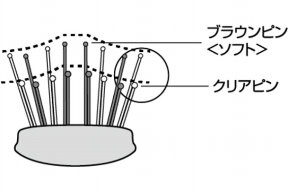 �S�n�悳�𐶂ޒi���A��&2�i�K���x