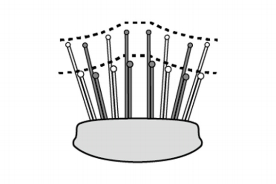 ����ɂ҂�����t�B�b�g��������擾�̓��疧���݌v