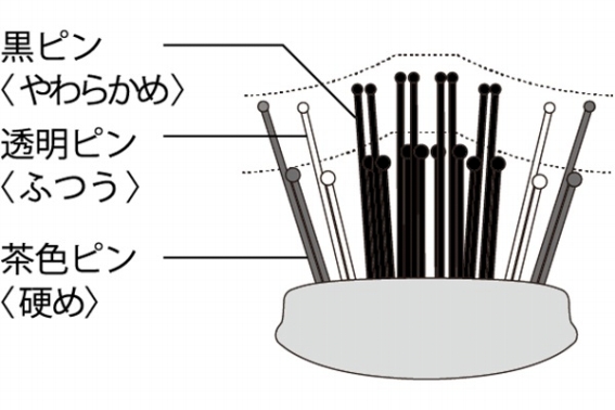 �S�n�悳�𐶂ޒi���A��&3�i�K���x