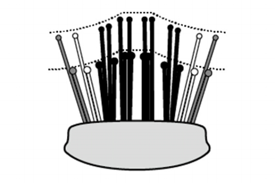 ����ɂ҂�����t�B�b�g��������擾�̓��疧���݌v