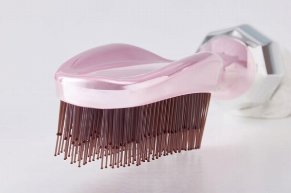 ����₷���ɂ���������u���V�̃t�H����