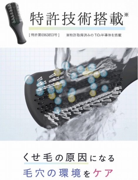 �����т̌����ɂȂ�ь��̊����P�A