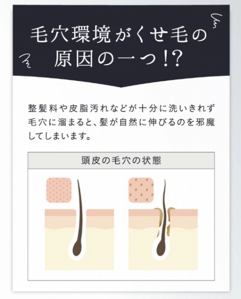 �ь����������т̌���