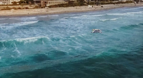 �����閂�@ [�����Ȃ��h���[��]