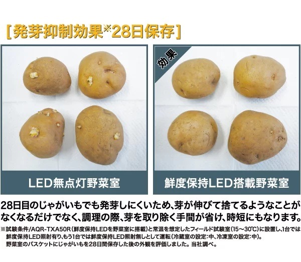 �H�i���X���y��