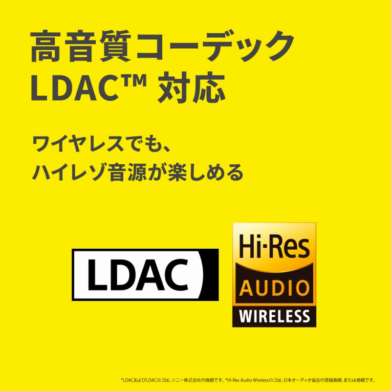 �������R�[�f�B�b�NLDAC�Ή�