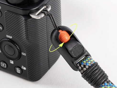 �u���ɒ��E�A���S���ĎB�e��