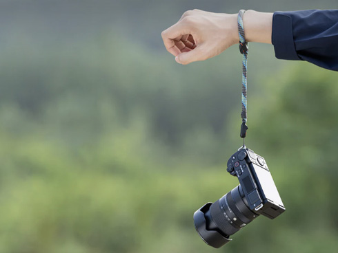 ��������Œ�A���S���ĎB�e�ɏW��