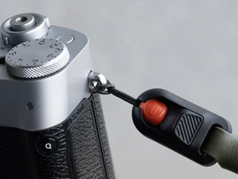 ���S�Ɏ���A���S���ĎB�e�\