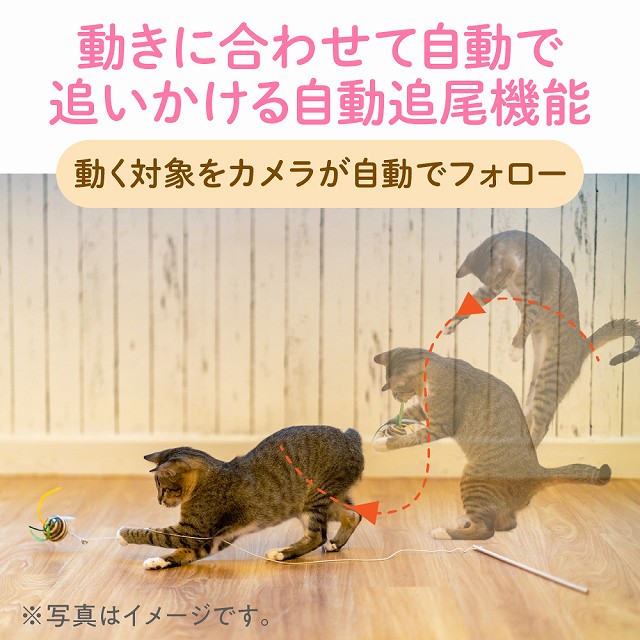 �����ɍ��킹�Ď����Œǂ������鎩���ǔ��@�\